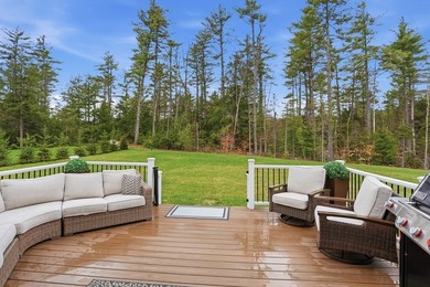Welcome to a showpiece in Rindge-an almost-new custom farmhouse - photo 17