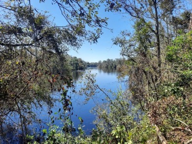  Lot For Sale in Live Oak Florida