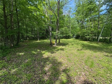 Lake Lot For Sale in Birchwood, Wisconsin