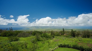 Welcome to perfection in Upcountry Kula. Imagine a private - photo 17