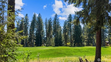 Experience the best of mountain resort living in this stunning - photo 34