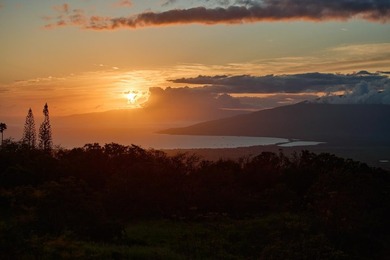 Welcome to perfection in Upcountry Kula. Imagine a private - photo 49