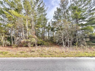 Lake Kathryn - Lake County Lot Sale Pending in Paisley Florida