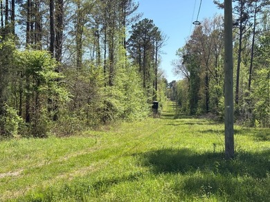 76.00 acre, more or less, hunting/timber tract with upside row - photo 1