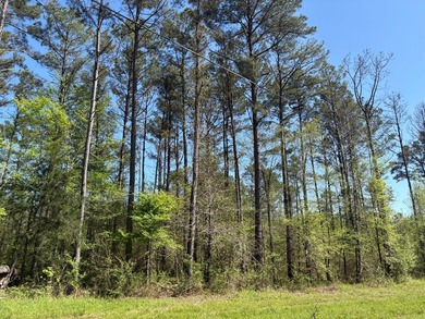 76.00 acre, more or less, hunting/timber tract with upside row - photo 2