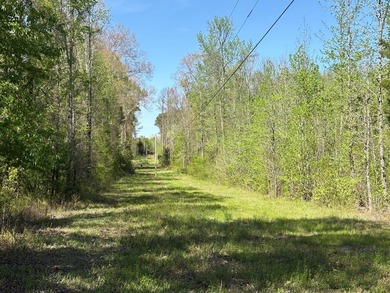 76.00 acre, more or less, hunting/timber tract with upside row - photo 4