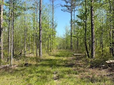 76.00 acre, more or less, hunting/timber tract with upside row - photo 5