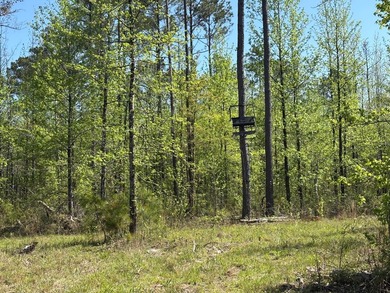 76.00 acre, more or less, hunting/timber tract with upside row - photo 6