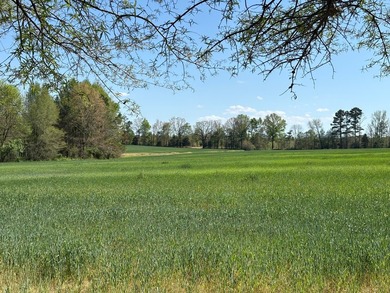 76.00 acre, more or less, hunting/timber tract with upside row - photo 7