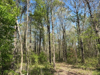 76.00 acre, more or less, hunting/timber tract with upside row - photo 9