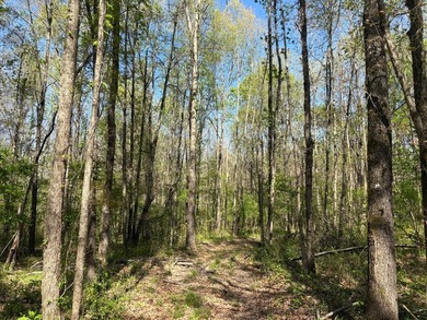 76.00 acre, more or less, hunting/timber tract with upside row - photo 10