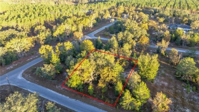 Lake Lot Sale Pending in Ocklawaha, Florida