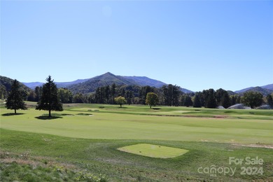 (private lake, pond, creek) Lot For Sale in Waynesville North Carolina