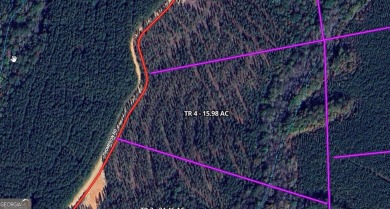 Lake Acreage For Sale in Franklin, Georgia