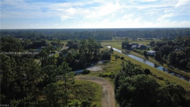 Lehigh Acres Area Acreage For Sale in Lehigh Acres Florida