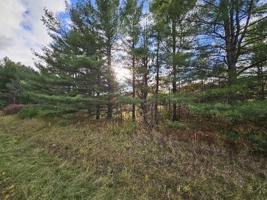 Secord Lake - Gladwin County Acreage Active Under Contract in Alger Michigan