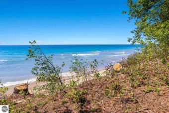 Lake Michigan - Manistee County Acreage For Sale in Arcadia Michigan