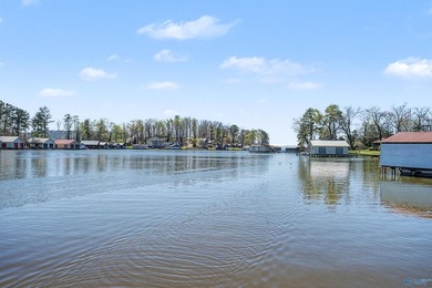 Waterfront living in the heart of Guntersville on Buck Island - photo 20