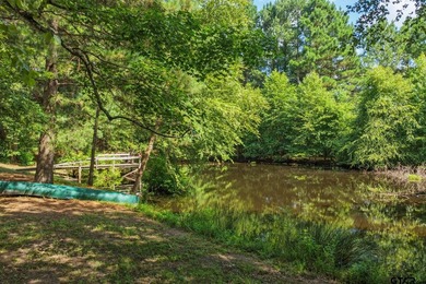 Extensively renovated, this fully fenced 17.71-acre East Texas - photo 42