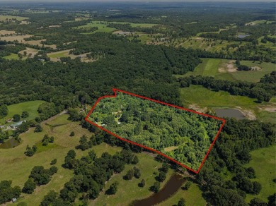 Extensively renovated, this fully fenced 17.71-acre East Texas - photo 47
