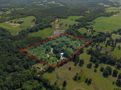 Extensively renovated, this fully fenced 17.71-acre East Texas - photo 48