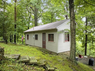Lake Home For Sale in Hawesville, Kentucky