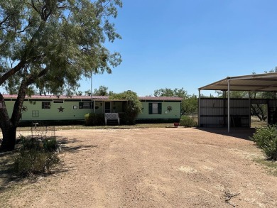 Lake O.H. Ivie Home For Sale in Paint Rock Texas