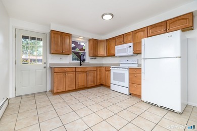 Excellent opportunity to own a well-maintained two-family home - photo 15