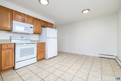 Excellent opportunity to own a well-maintained two-family home - photo 16