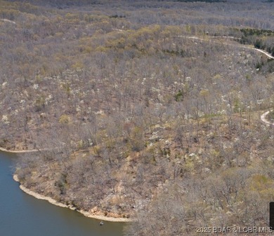 73-Year family owned private estate. Pristine shoreline in a - photo 44