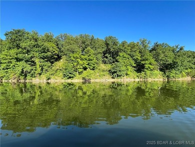 73-Year family owned private estate. Pristine shoreline in a - photo 47