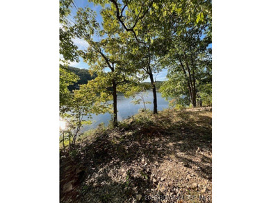 73-Year family owned private estate. Pristine shoreline in a - photo 49