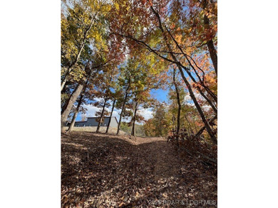 73-Year family owned private estate. Pristine shoreline in a - photo 56