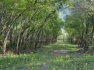 This 40.97-acre property offers excellent hunting with a - photo 3