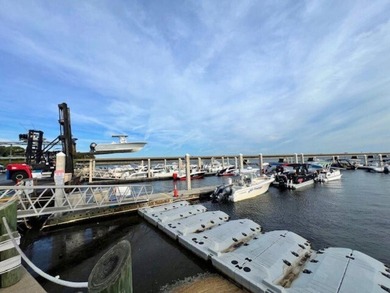4601 Legendary Marina Dr Ph 1 D-012 - photo 8