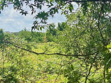 Bois D Arc Lake Acreage For Sale in Telephone Texas