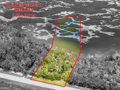 Crooked River Acreage For Sale in Woodbine Georgia