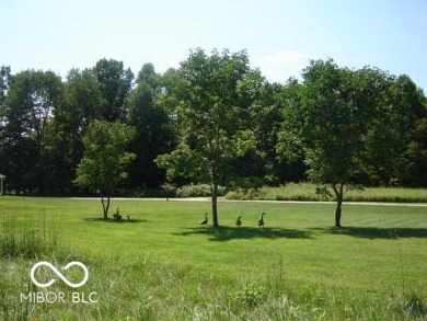 Lake Lot For Sale in Spencer, Indiana