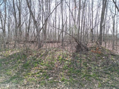 Lake Lot For Sale in Crossville, Tennessee