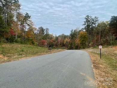 Lake Norman Lot For Sale in Denver North Carolina