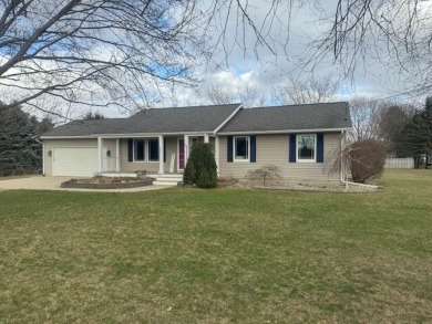 Lake Home Sale Pending in Fremont, Michigan