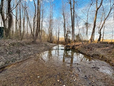 This stunning property features more than 1,300 feet of frontage - photo 35