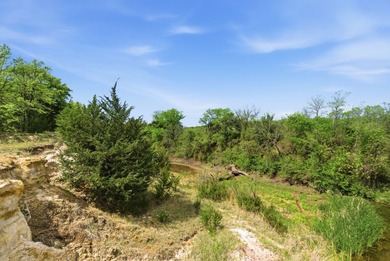377+ Acre Premier North Texas Recreational & Hunting Retreat - photo 37