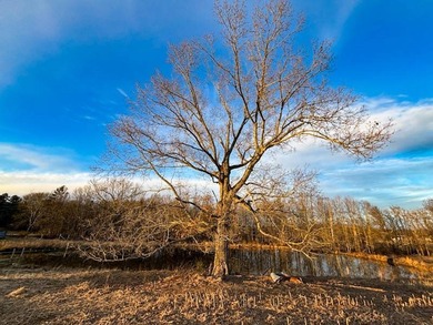 This stunning property features more than 1,300 feet of frontage - photo 40