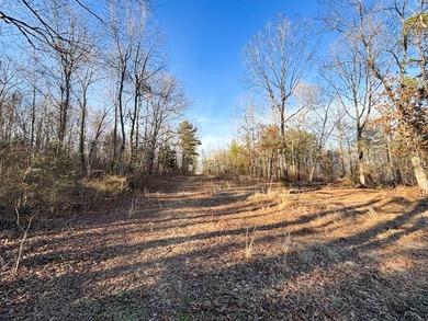 This stunning property features more than 1,300 feet of frontage - photo 43