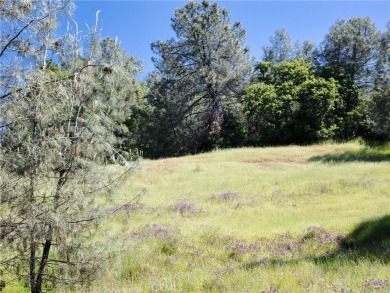 Lake Lot For Sale in Lucerne, California