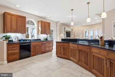**Sunset on the Severn** - A gated, custom contemporary estate - photo 19