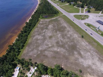 Lake Michigan - Schoolcraft County Acreage For Sale in Manistique Michigan