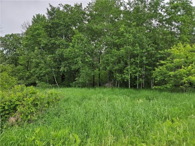 (private lake, pond, creek) Acreage Sale Pending in Chetek Wisconsin