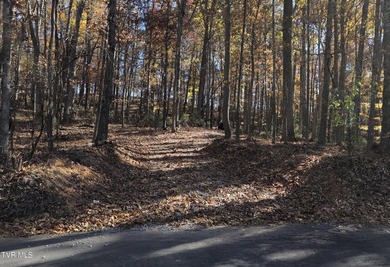 Boone Lake Acreage For Sale in Bluff City Tennessee